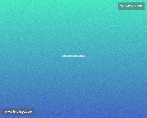 自由搏击赛事等级体系深度解析与实战应用