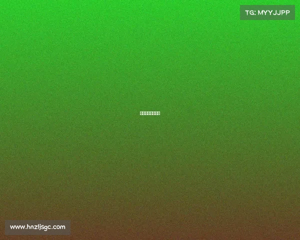 女排赛事日程安排